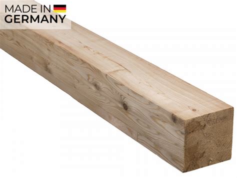 sibirische lärche obi